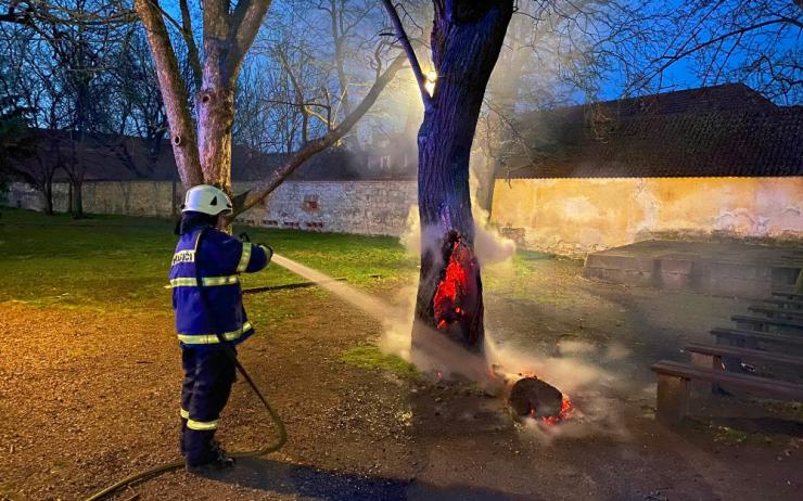 Hloupá zábava? V zámeckém parku někdo zapálil dutinu vzrostlého stromu