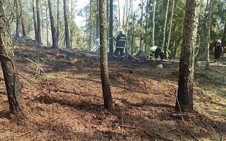 Hasiči na Podbořansku likvidovali požár lesního porostu. Byl vyhlášen druhý stupeň poplachu