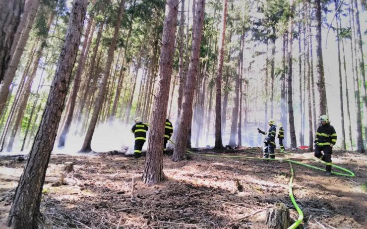 AKTUÁLNĚ: Požár v lese na Lounsku zaměstnává tři jednotky hasičů