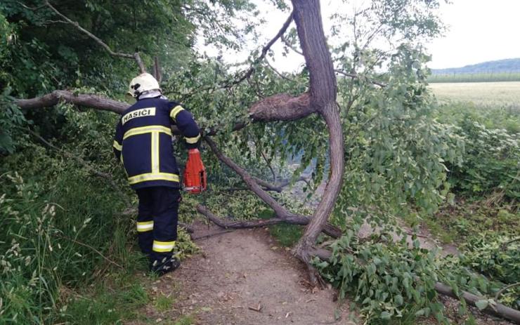 Ulomená větev zatarasila příjezdovou cestu do chatové osady, hasiči ji museli rozřezat