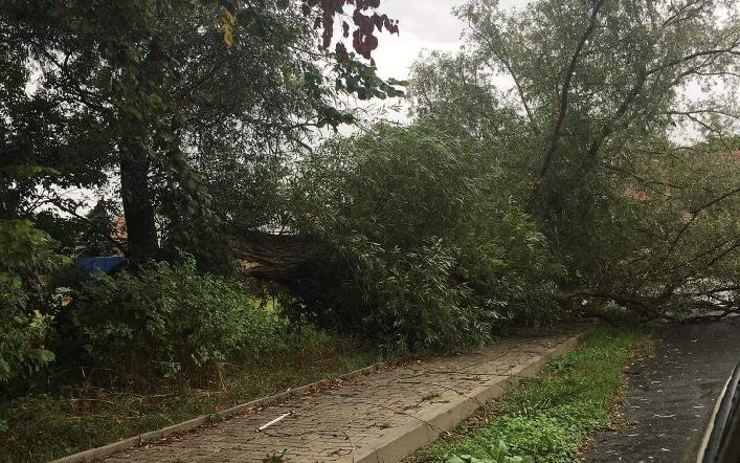 OBRAZEM: Strom spadl na dráty veřejného osvětlení a zatarasil průjezd obcí