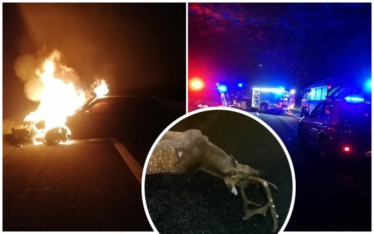 AKTUÁLNĚ OBRAZEM: Na dálnici u Trianglu srazilo auto zvíře a začalo hořet