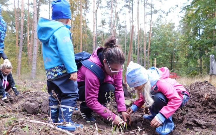 Záslužná činnost. Děti s rodiči pomáhali s obnovou lesů na Žatecku