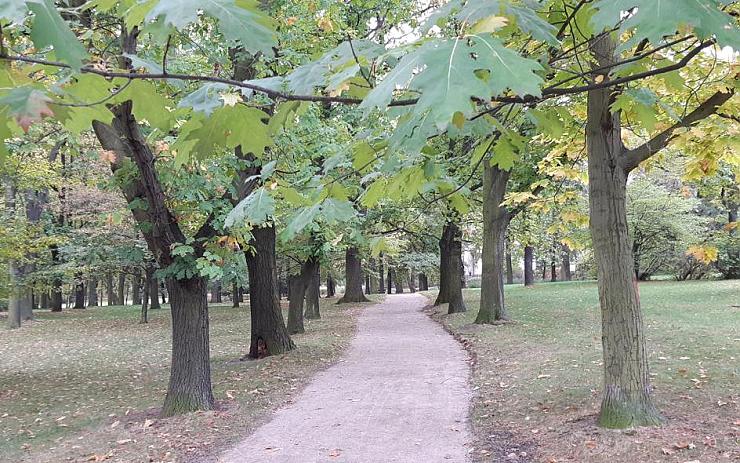 Bezbariérová cesta v žateckém parku je hotová, přípravy na revitalizaci všech parků pokračují