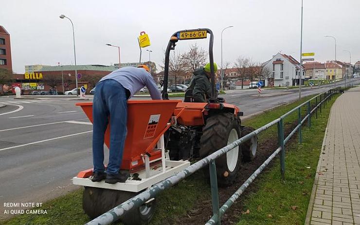 FOTO: Louny budou plné květin. Město nechalo vysázet tulipány a narcisy na těchto místech