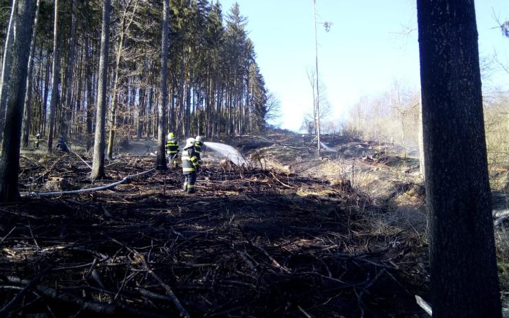 AKTUÁLNĚ OBRAZEM: Požár lesa na Lounsku, zasahuje šest hasičských jednotek!