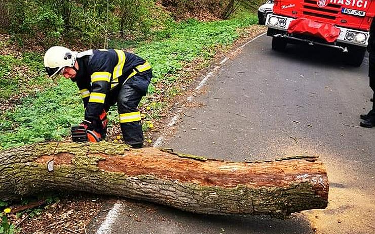 FOTO: Spadlý strom bránil provozu na silnici, o jeho likvidaci se postarali hasiči