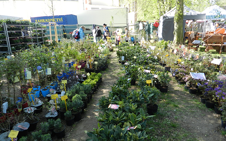 Vše pro dům i zahradu. Již tento pátek startují na lounském výstavišti Jarní trhy!