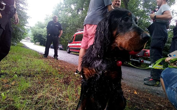 FOTO: Pětiměsíční štěně se topilo v rybníce, duchapřítomná majitelka včas zasáhla