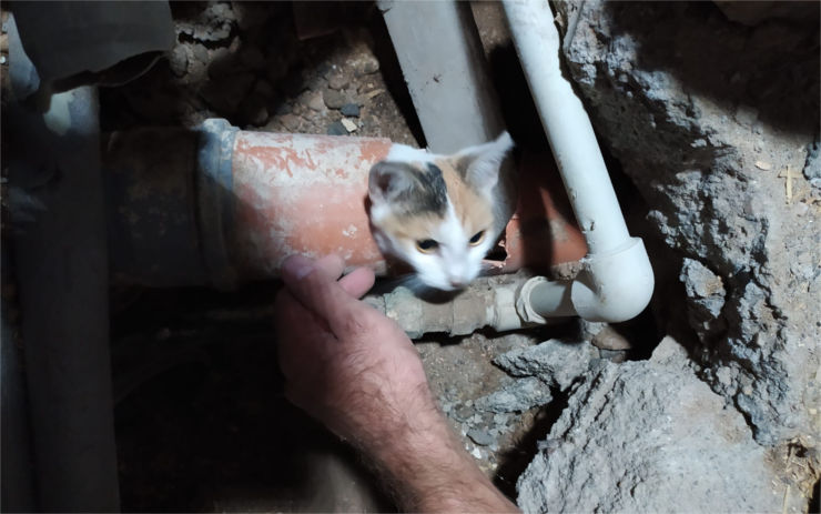 Kočička uvízla v odpadním potrubí, hasiči museli vysekat část podlahy