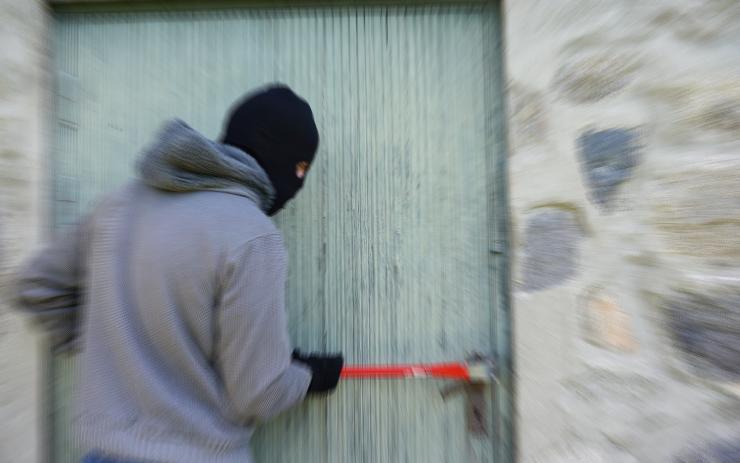 Nemilé překvapení pro majitele chalupy na Podbořansku. Měli uvnitř nezvaného hosta