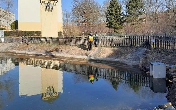 V Žiželicích pokračuje rekonstrukce rybníka. Obec jeho břehy nechala osázet skalníky