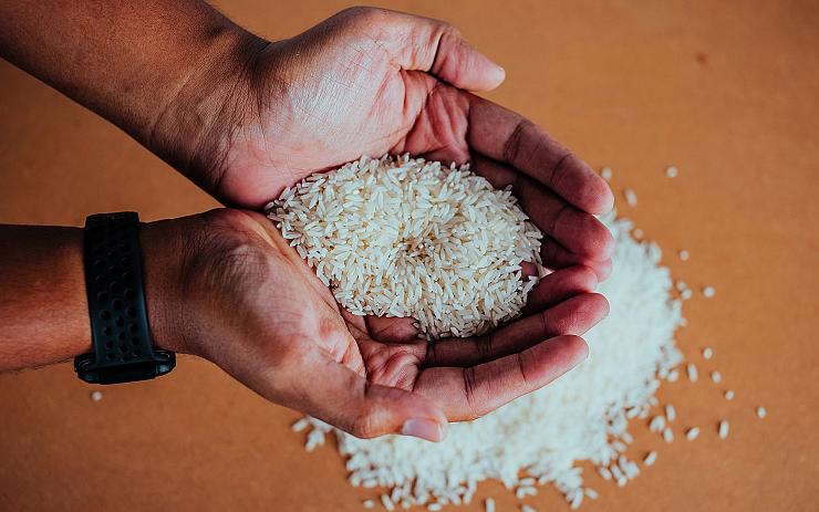 VÍTE, ŽE: Češi prý spořádají historicky rekordní množství rýže. Brzy ale mohou mít problém