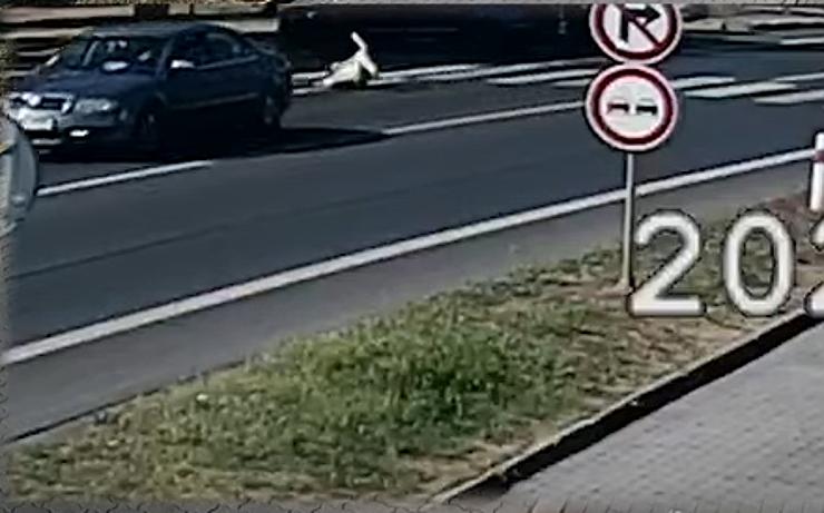 VIDEO: Auto v plné rychlosti sráží ženu na přechodu v Žatci! Nevíte, komu vůz patří?