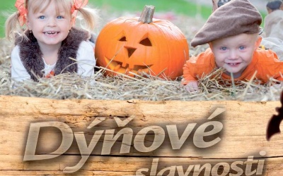 Dýňové slavnosti pořádá teplické zahradnictví Dvořák a syn. Foto: www.dvorakasyn.cz dyne