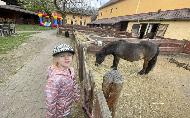 VIDEO: Selský dvůr v Braňanech: Vyrazit tam můžete na jídlo, oslavu i na několikadenní pobyt 