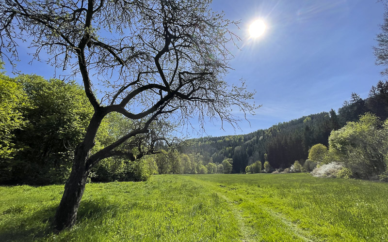 Léto je tady? Na přelomu týdne bychom mohli naměřit až 27 °C 