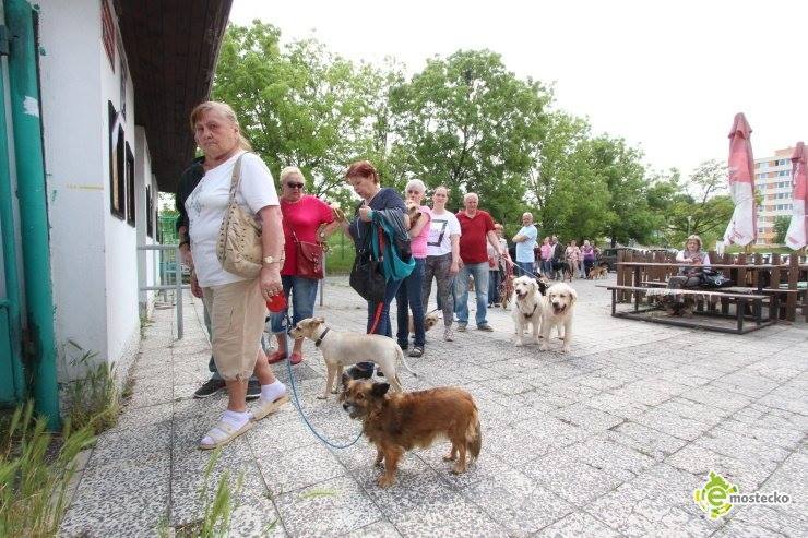 V Mostě si můžete nechat na konci května zdarma očkovat svého psa