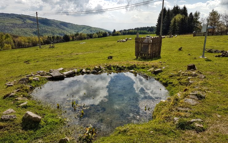 Bude (dosti) teplo a nebude-li pršet, tak ani nezmokneme