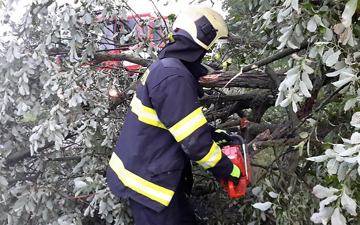 Následky letní bouřky: V Jirkově spadl strom na střechu domu
