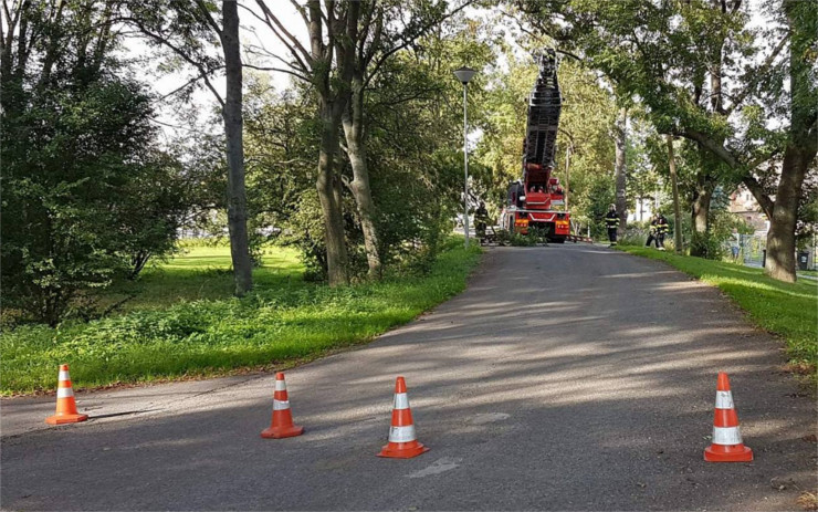 Hasiči z Mostu zasahovali v Lišnici, ze stromu se tu odlomila mohutná větev