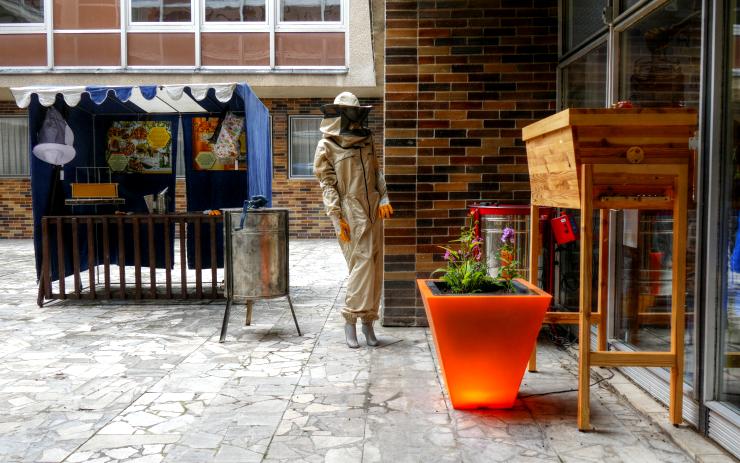 OBRAZEM: Mostecká knihovna chová včely. Nyní tam otevřeli i naučnou včelí stezku
