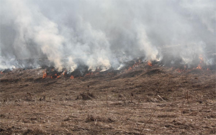 S příchodem jara se zvyšuje riziko požáru travních porostů, za vypalování hrozí pokuta až 25 tisíc