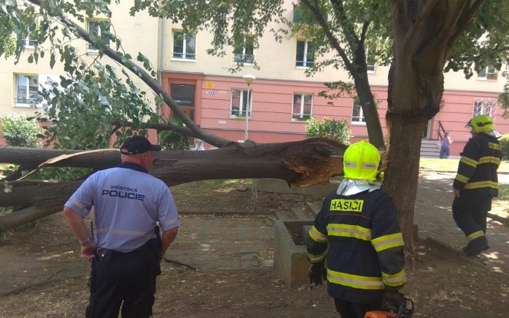 Část vzrostlého stromu se v Mostě zlomila a spadla přes chodník a lavičku