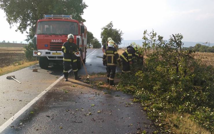 AKTUÁLNĚ: Mosteckem se prohnala letní bouře, nechala za sebou pokácené stromy