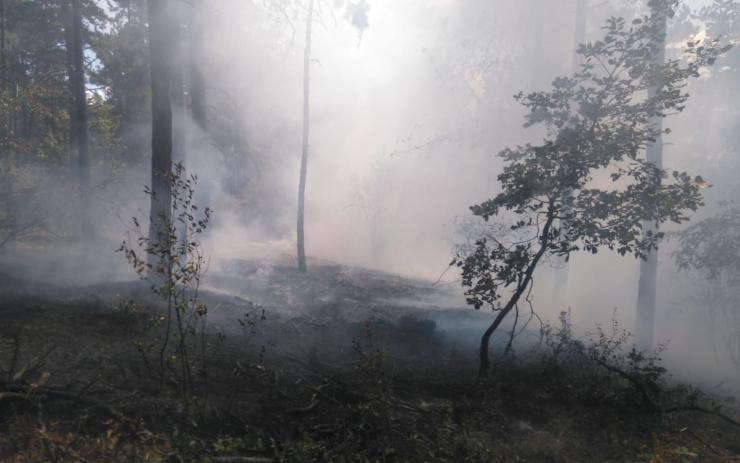Pozor! U Oseka a v Krušných horách se kvůli nebezpečí požárů nesmí do lesů