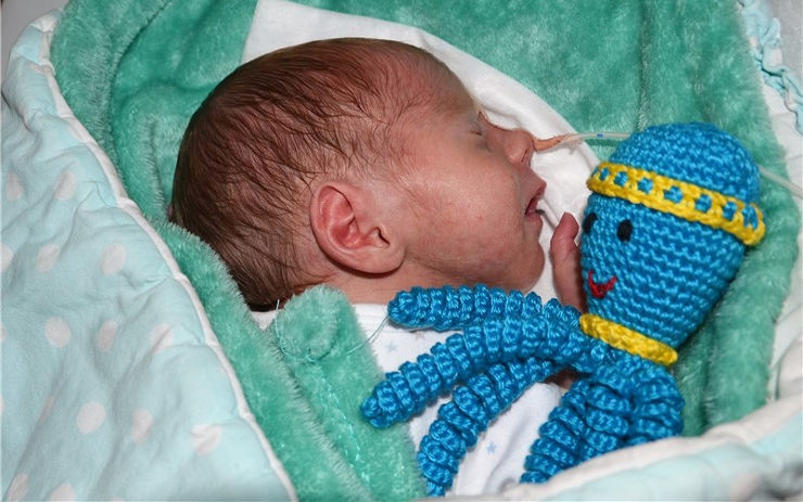 Novorozencům zpříjemní pobyt na ústecké neonatologické klinice háčkované chobotničky