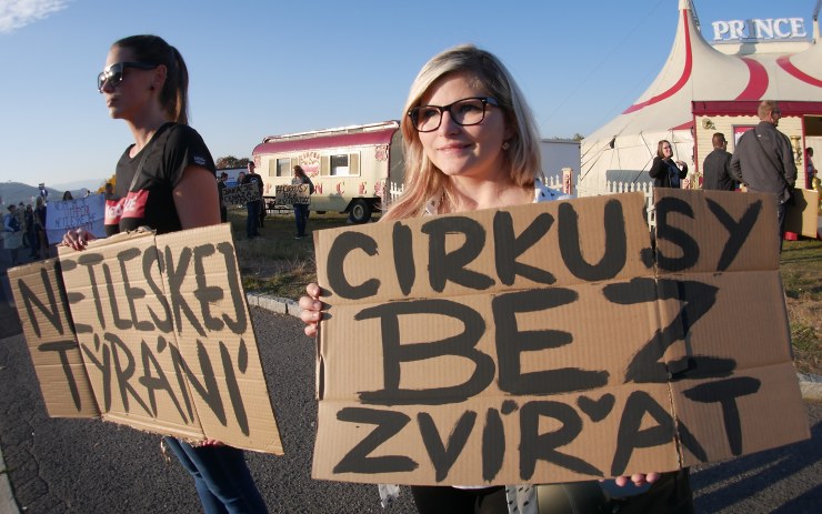 OBRAZEM: Cirkusy bez zvířat! Mostečané demonstrovali na okraji Šibeníku