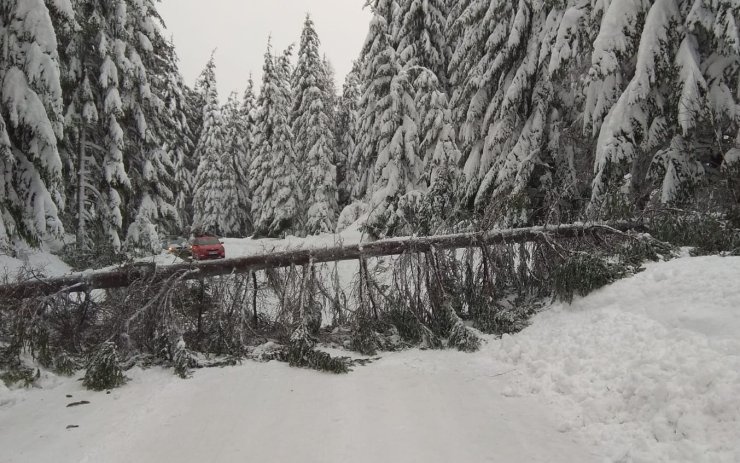 Přes cestu k lyžařskému areálu spadl strom. Buďte na horách opatrní