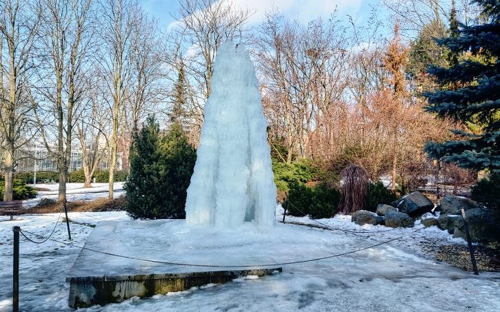VIDEO: V parku mezi panelovými domy roste unikátní ledový strom