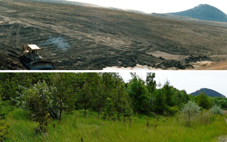 Lesy ČR začnou na Chomutovsku hospodařit na pozemcích po hornické činnosti