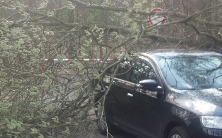 U rybníčka na Resslu spadl strom přímo na osobní auto