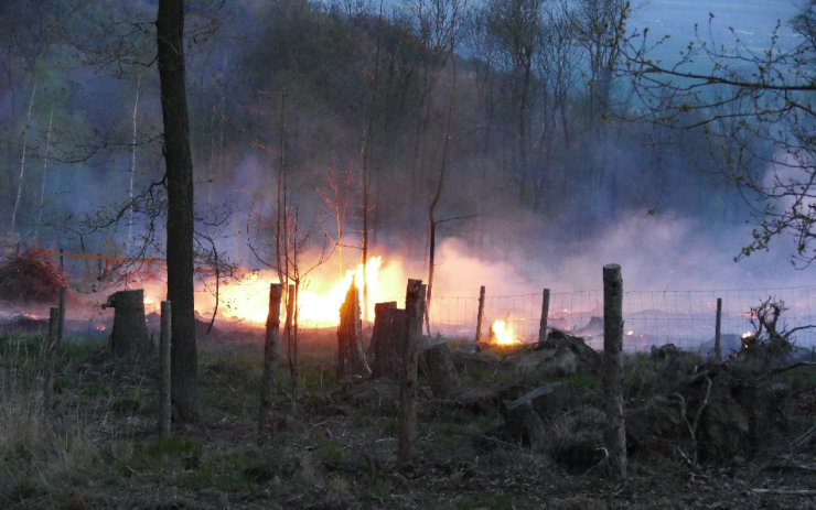 Hasiči bojovali s rozsáhlým lesním požárem od večera do ranních hodin