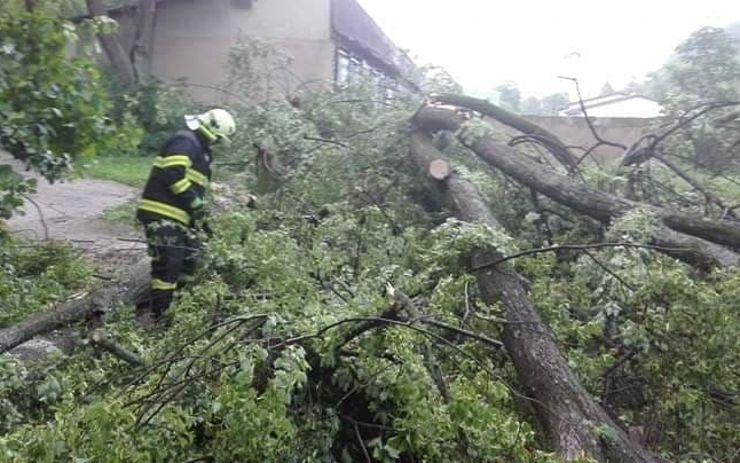 Silná bouřka napáchala škody po celém kraji. Padaly stromy, hasiči také odčerpávali vodu