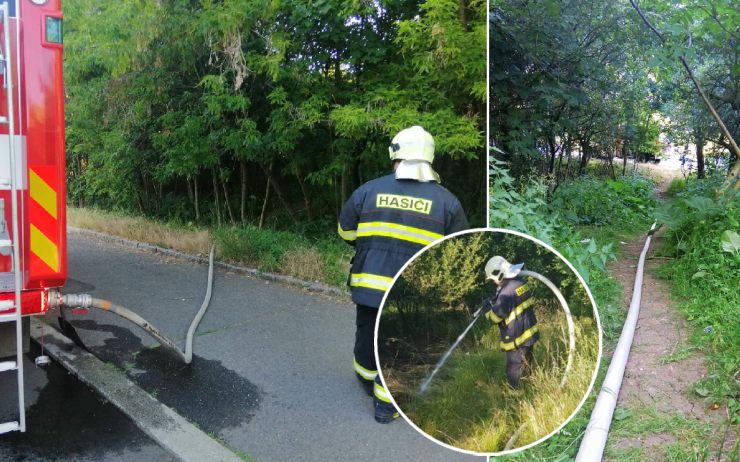 Při požáru porostu v Mostě museli hasiči natáhnout stovky metrů hadic