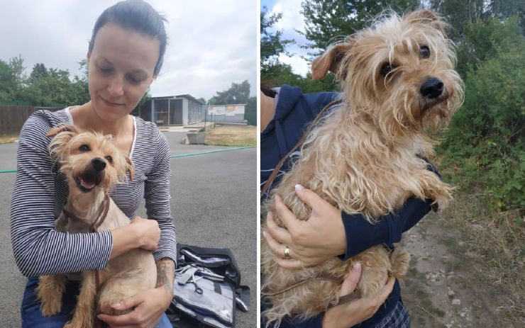 29 dobrovolníků pomáhá, aby byli psi v litvínovském útulku šťastnější