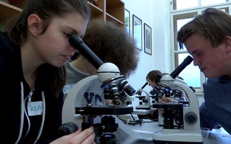 VIDEO: Jaké jsou chutě na jazyku či práce s mikroskopem. Školáci si zkusili spolupráci se studenty