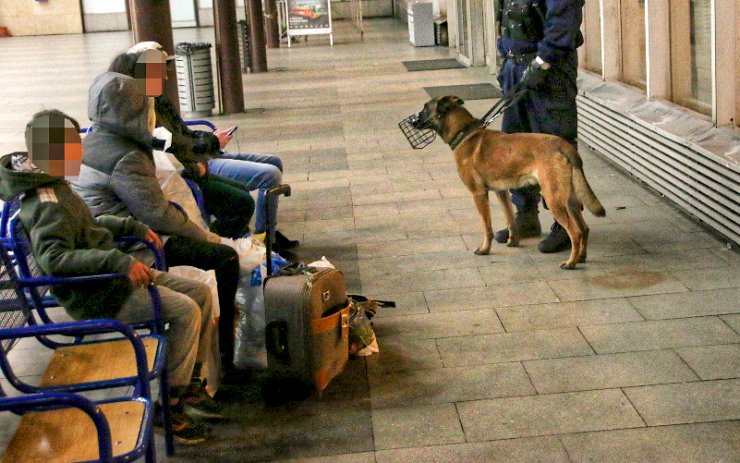 Spící ženě na nádraží ukradli telefon a odevzadli ho na policii. Potom se vrátili obrat ji znovu