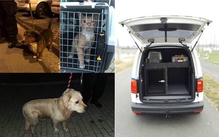 V posledním týdnu převezli strážníci do útulku dva psy a jednu kočku. Odchyt provádějí vyškolení strážníci