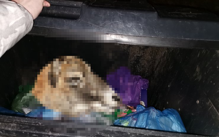 V litvínovské popelnici našli děsivé ostatky. Odmítli je vyndat i myslivci