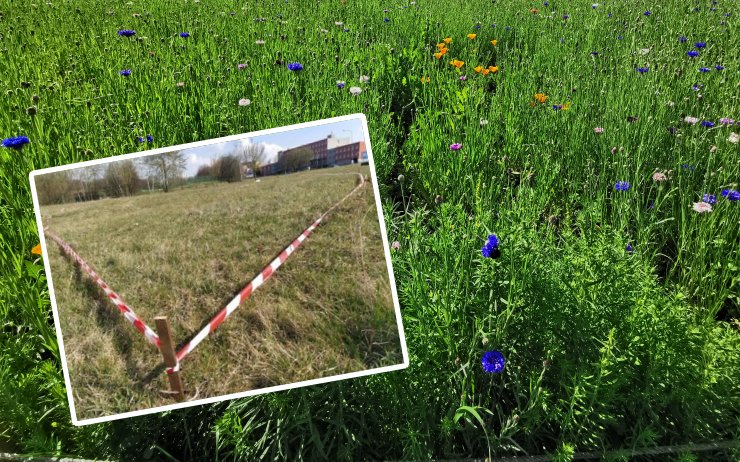 PTÁTE SE: Proč jsou na Šibeníku zábrany a žloutne tam tráva? Chystá se tam novinka 