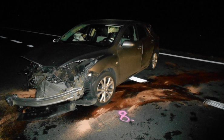 OBRAZEM: Drtivá srážka s divočákem na dálnici u Trianglu! Náraz zničil auto