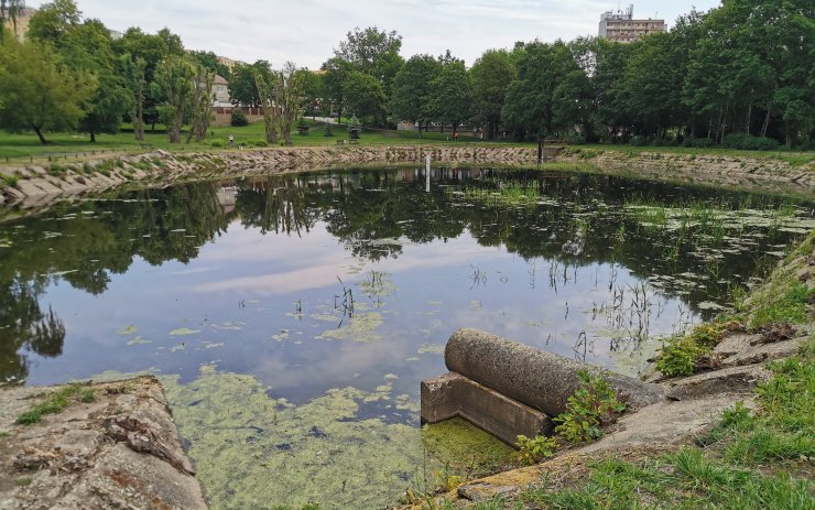Nově napuštěný Pilařský rybník i jeho okolí se budou dál zlepšovat
