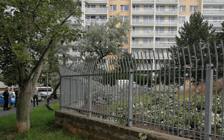 Naštvalo vás ořezávání stromů u bývalé školky? Záležitostí už se zabývali strážníci i úřad