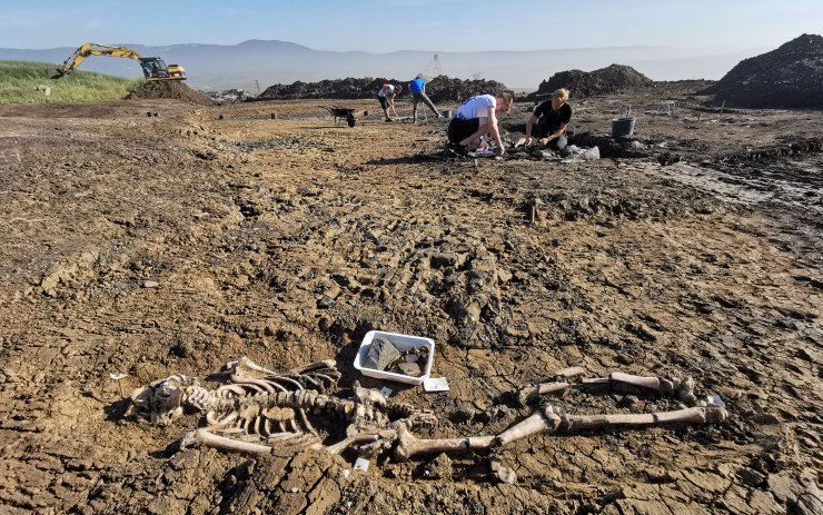 VIDEO: Archeologové objevili u uhelného lomu dlouho hledanou středověkou vesnici!