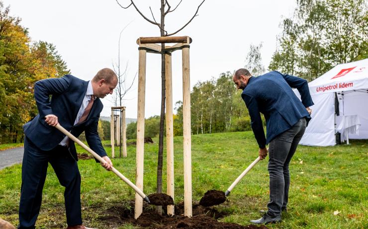 V mosteckém parku Šibeník jsou nové stromy za milion. Na přání obyvatel 